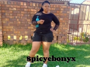 Spicyebonyx