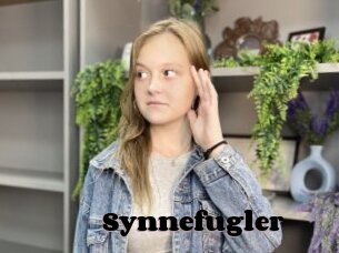 Synnefugler