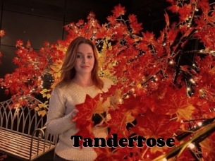 Tanderrose