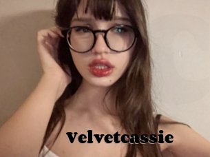 Velvetcassie