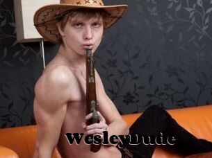 WesleyDude