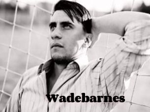 Wadebarnes