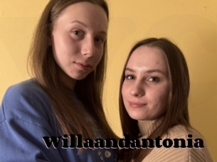 Willaandantonia