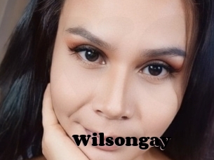 Wilsongay