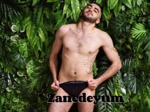 Zanedeyum